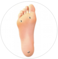 Standing Feet (+$35.00)