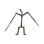 Yoga Skeleton(+$95.00)